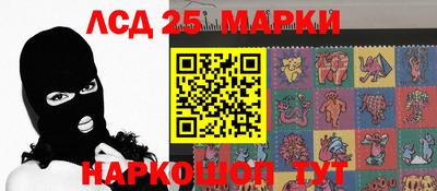 шишки Тара