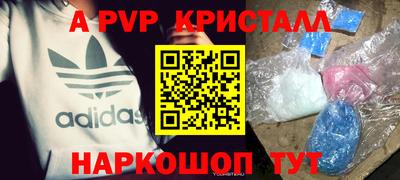 шишки Тара