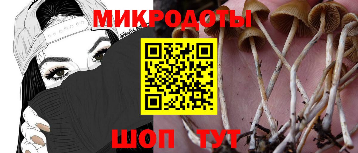 где купить наркоту  Галлюциногенные грибы мухоморы  Вход с VPN  Отрадное  Галлюциногенные грибы Psilocybine cubensis 