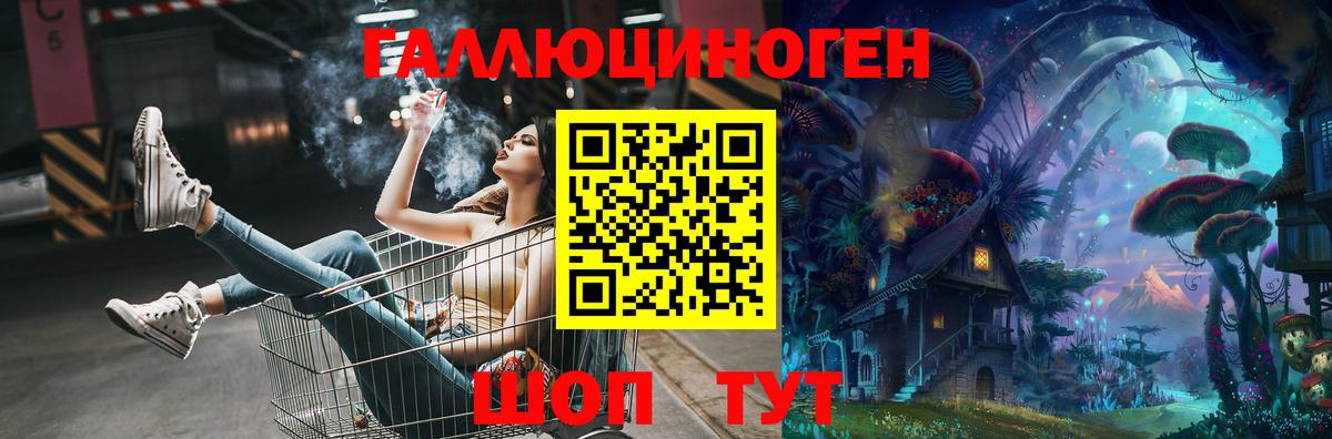Галлюциногенные грибы Psilocybe Отрадное