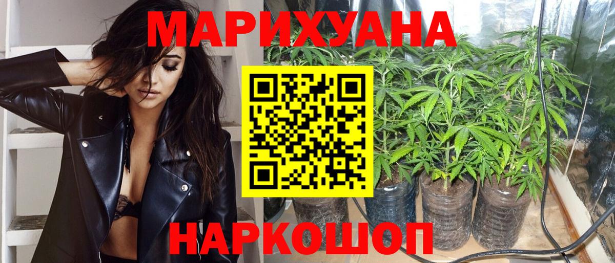 Канабис гибрид Отрадное